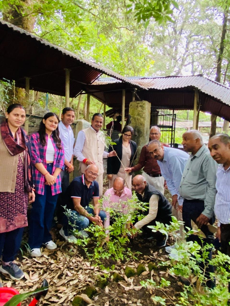नैनीताल: डीएसबी परिसर में पौधारोपण, कुलपति राजीव मोहन पंत बोले—प्रकृति के प्रति जिम्मेदारी जरूरी…