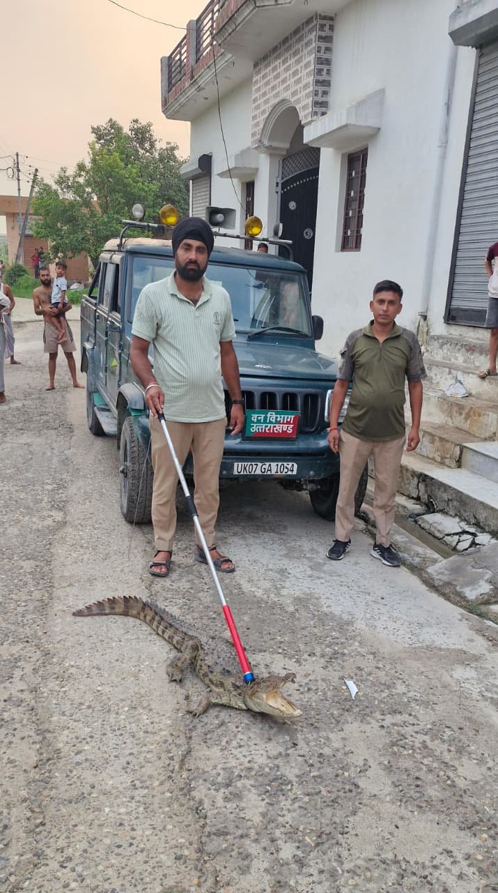 वन विभाग की मुस्तैदी से घर में घुसे मगरमच्छ का सफल रेस्क्यू