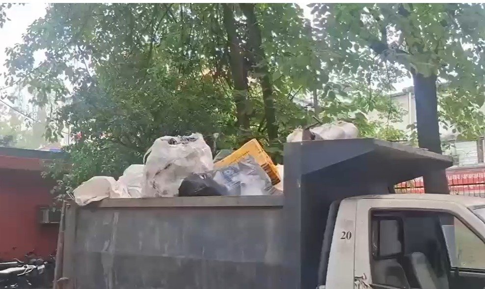 ABC और ARV अभियान का असर: देहरादून में डॉग बाइट की शिकायतें घटीं, डॉग रजिस्ट्रेशन तीन गुना बढ़ा