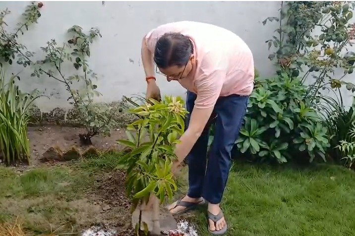 मुख्यमंत्री धामी बोले- हरेला पर्व हमें प्रकृति से जुड़ने की प्रेरणा देता है
